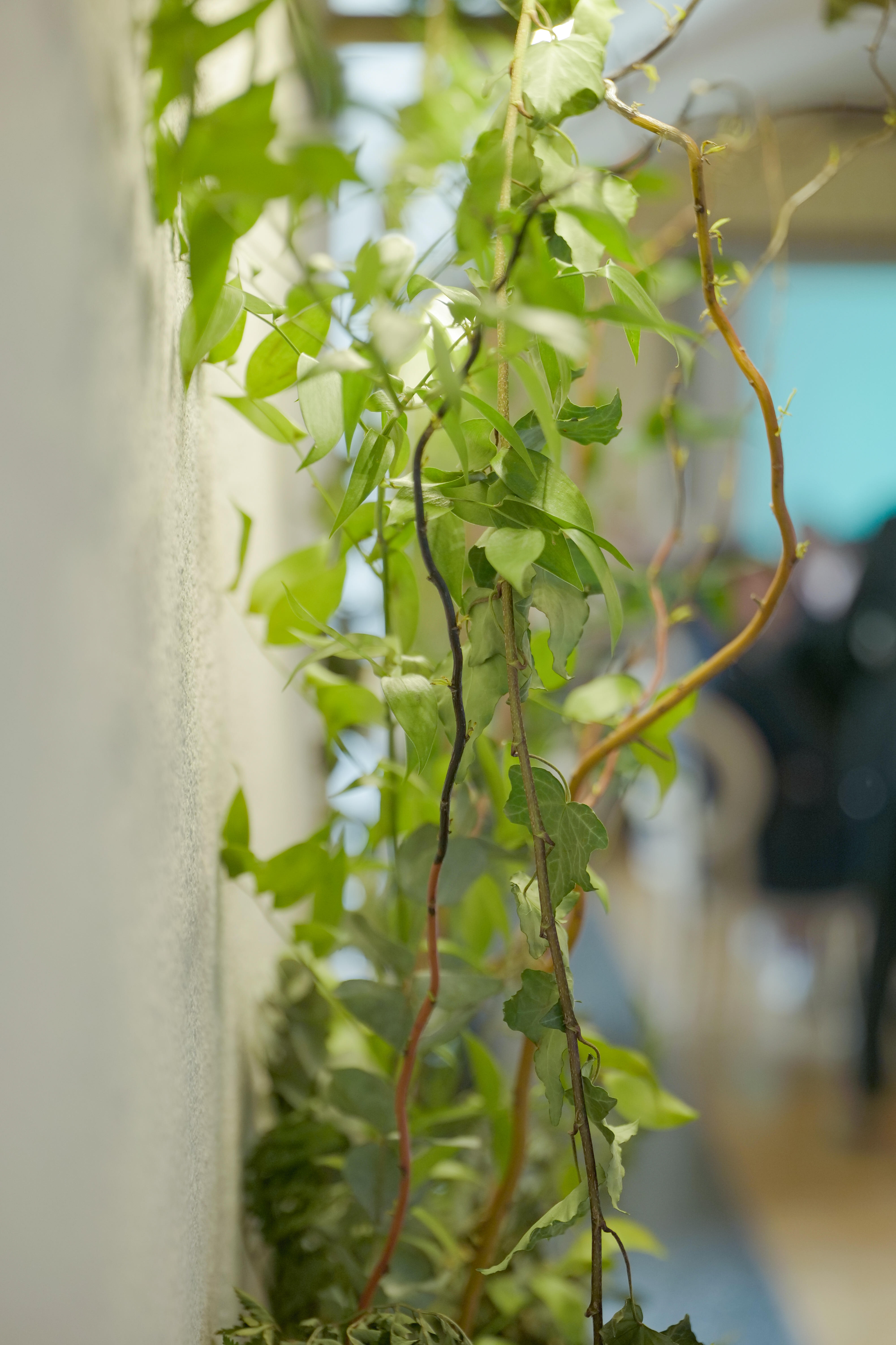 Photo édition 2023 67