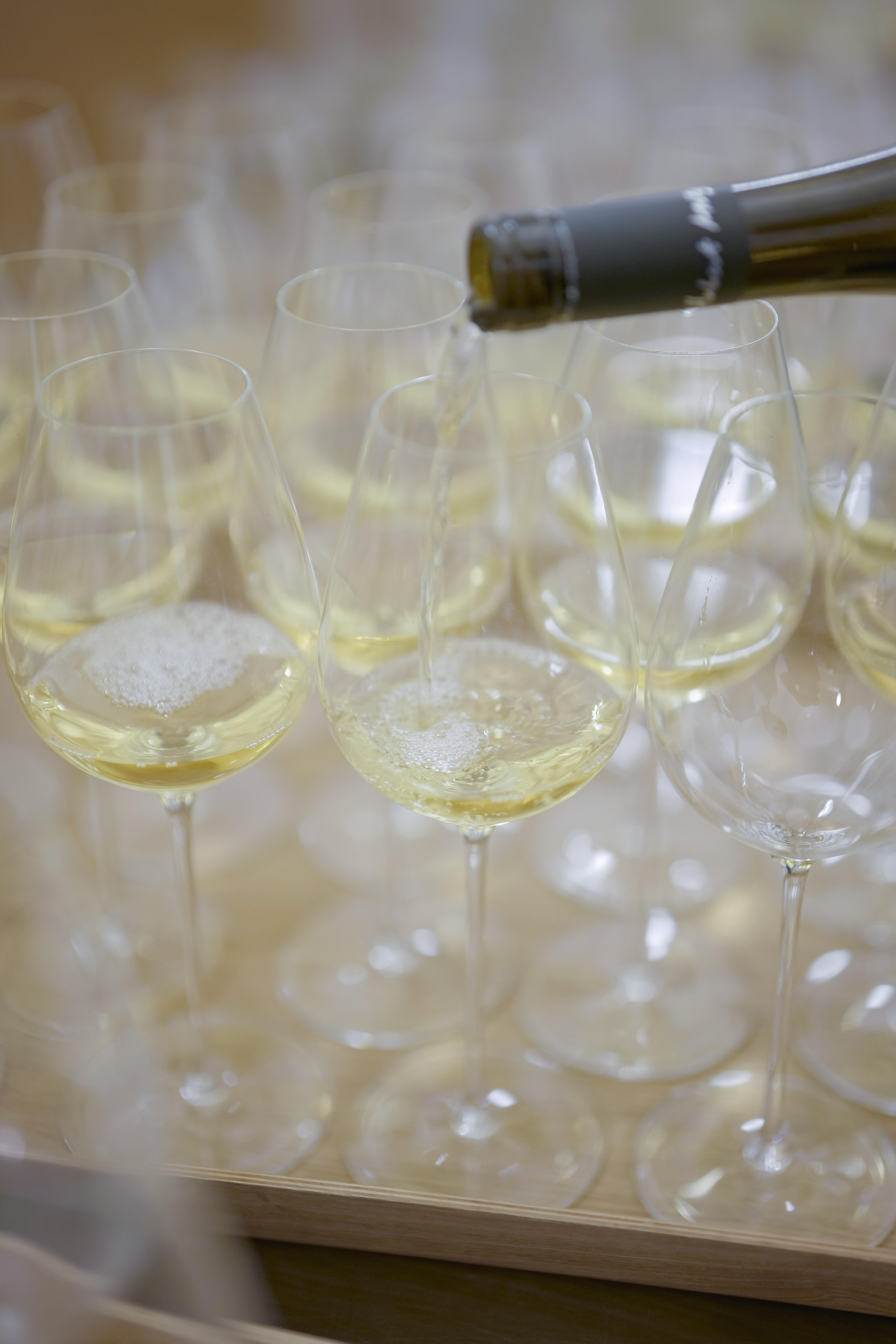 Photo édition 2023 68