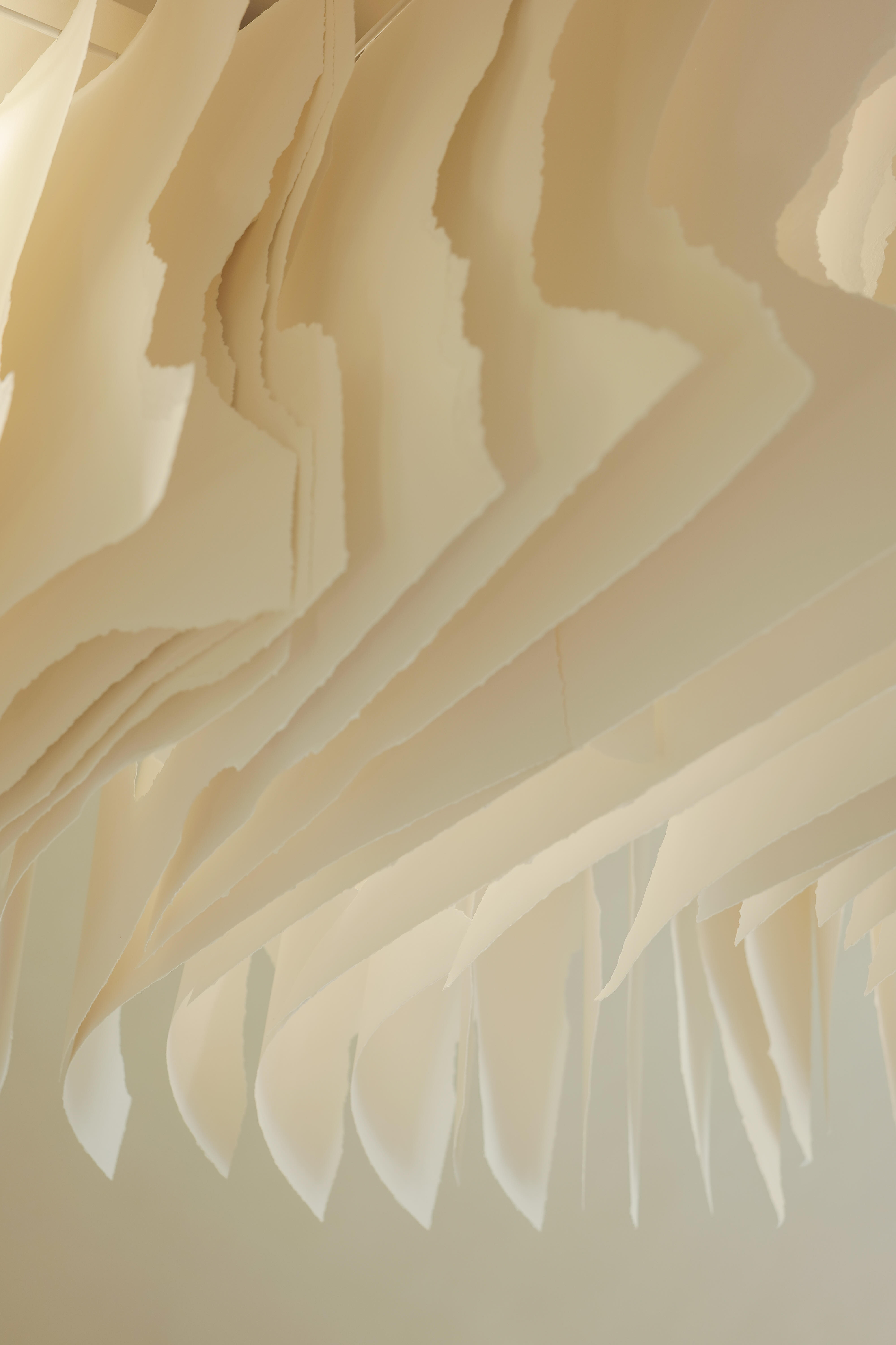 Photo édition 2023 118