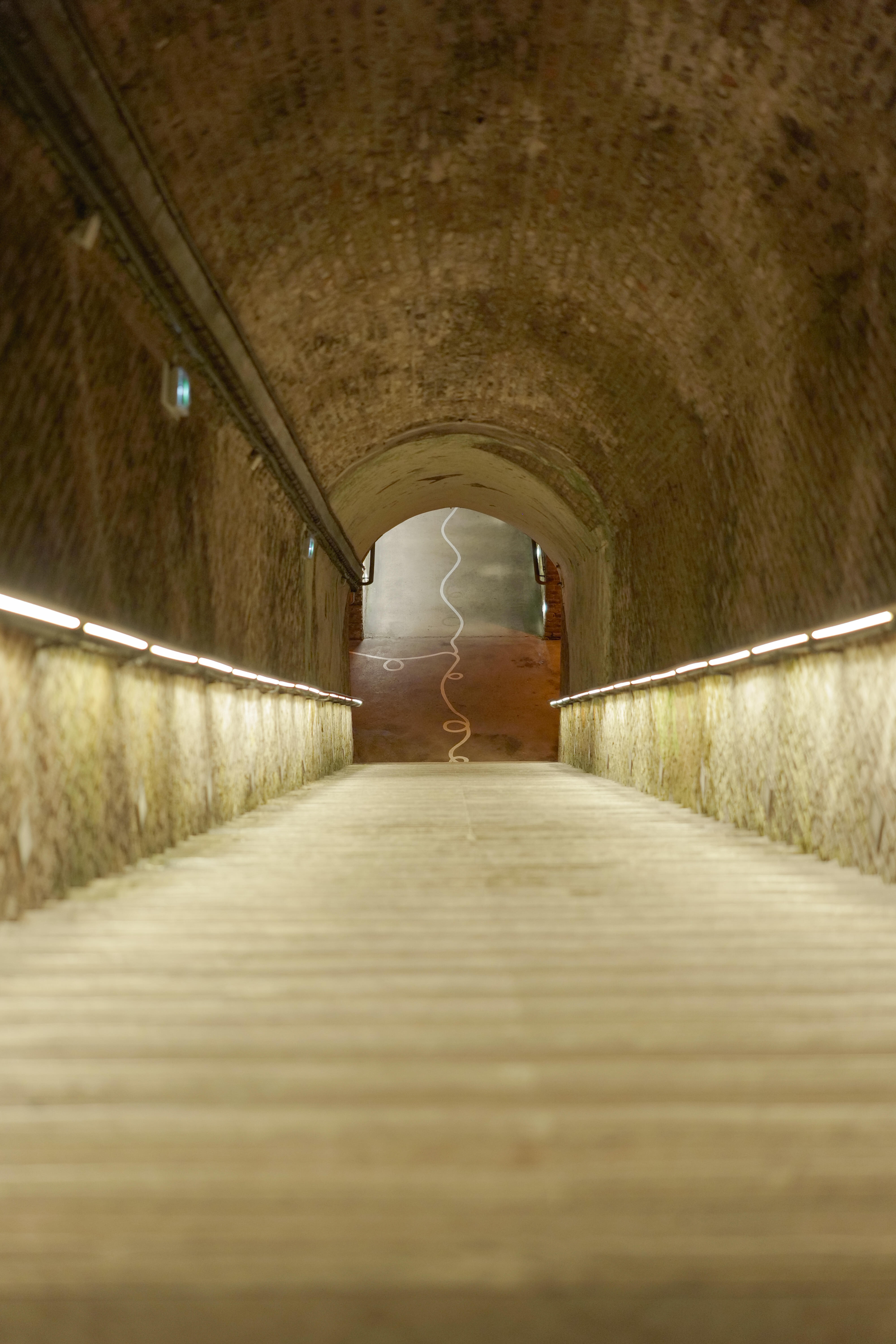 Photo édition 2023 122