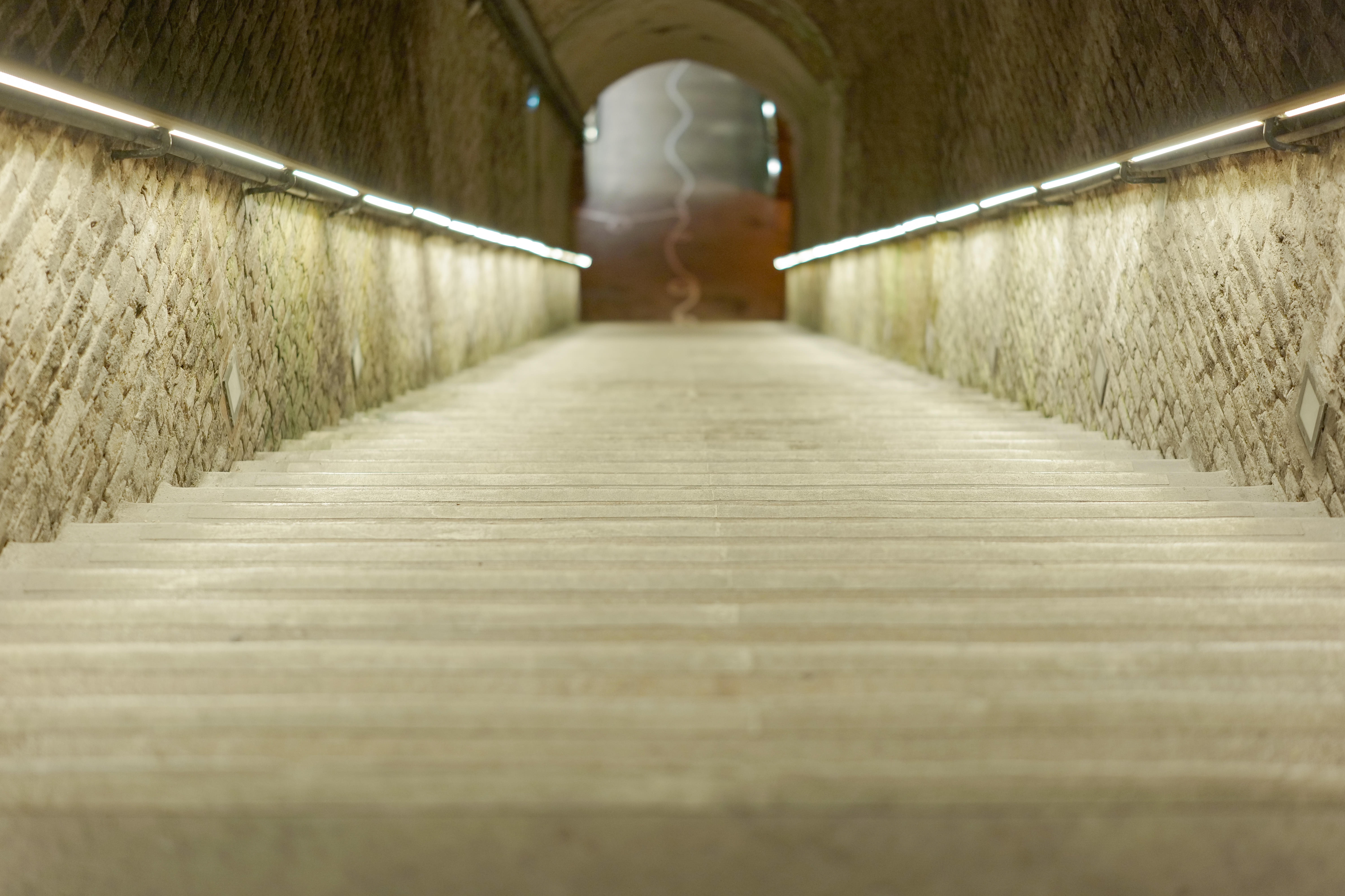 Photo édition 2023 123