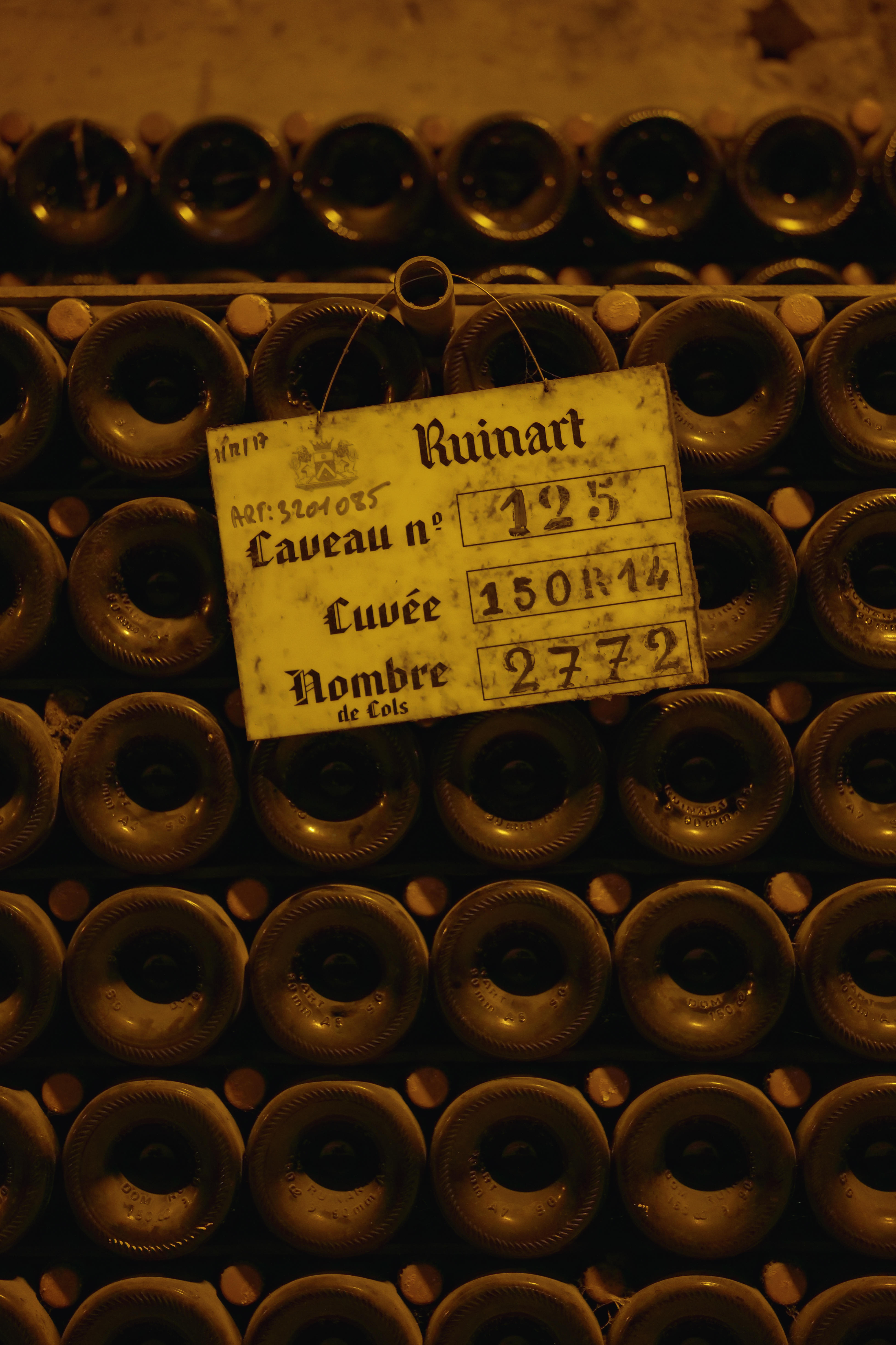 Photo édition 2023 125