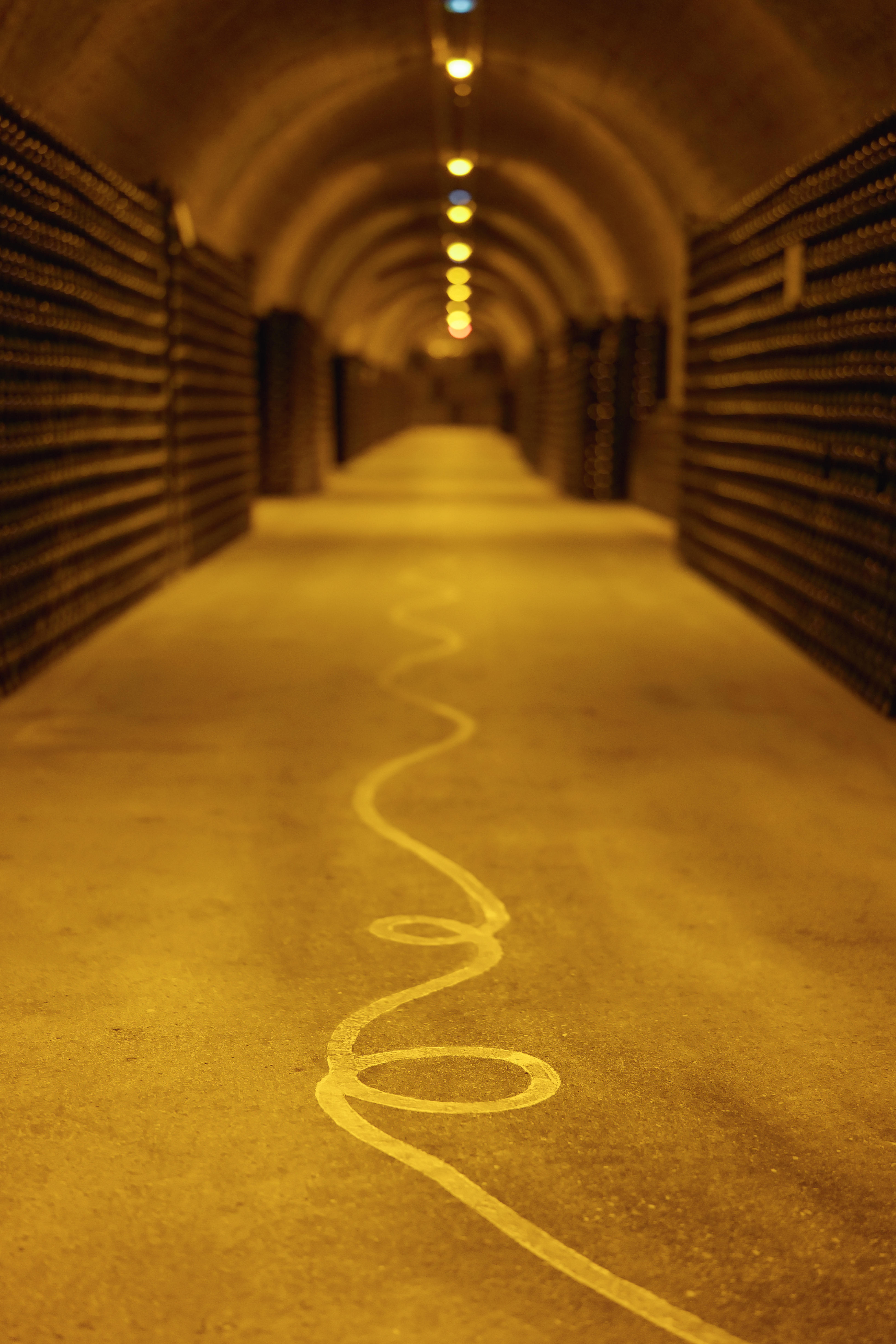 Photo édition 2023 126