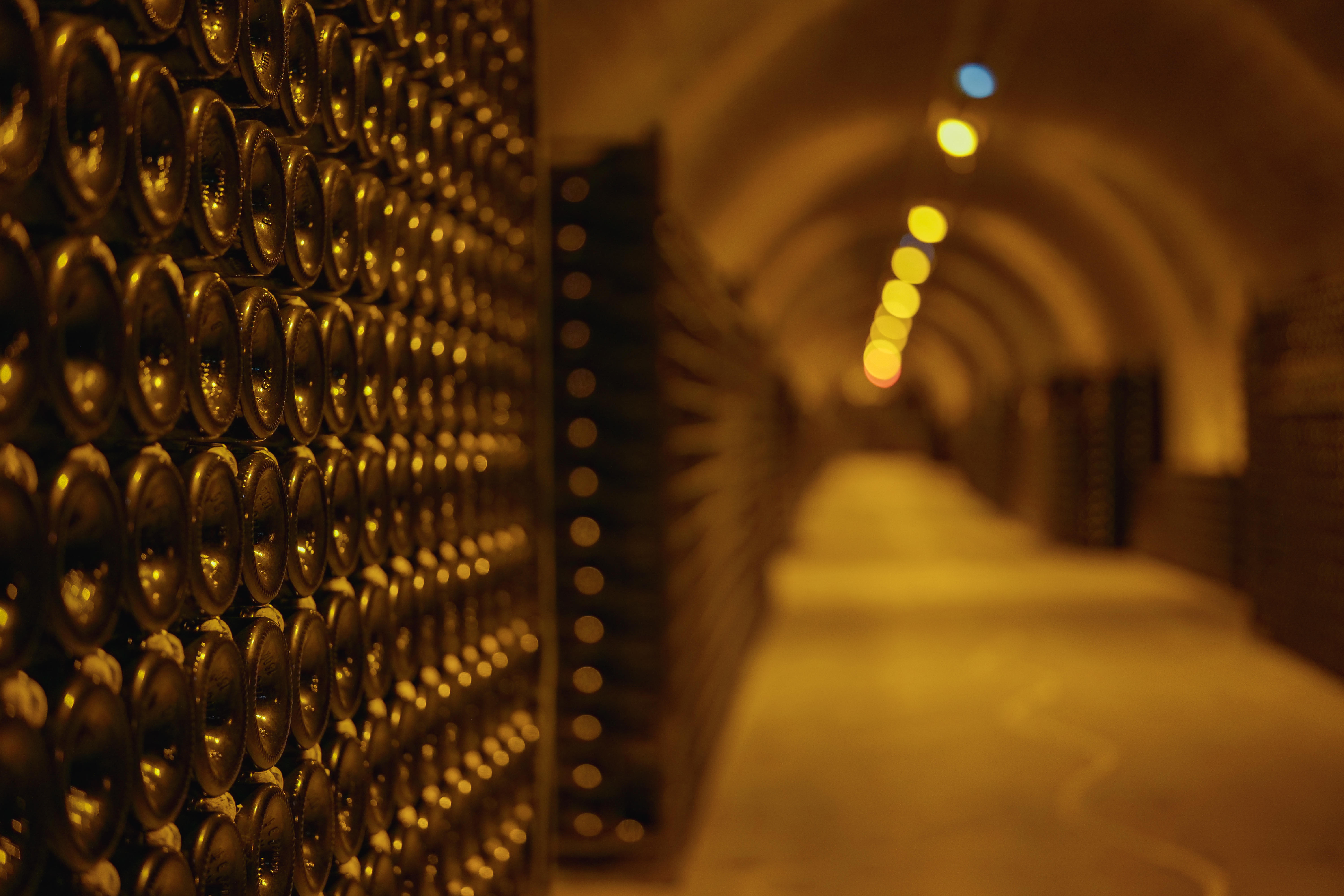 Photo édition 2023 127