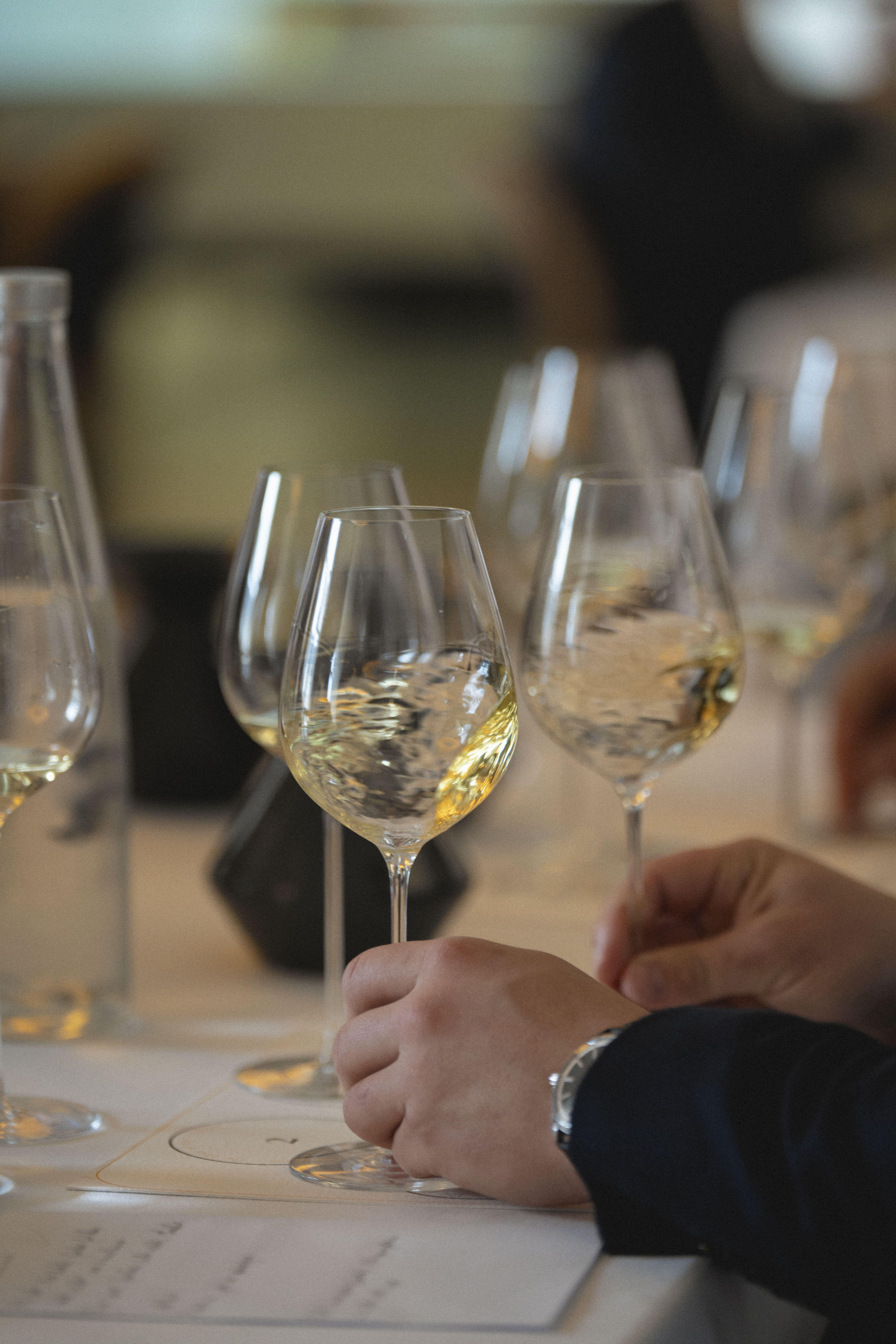 Photo édition 2024 5