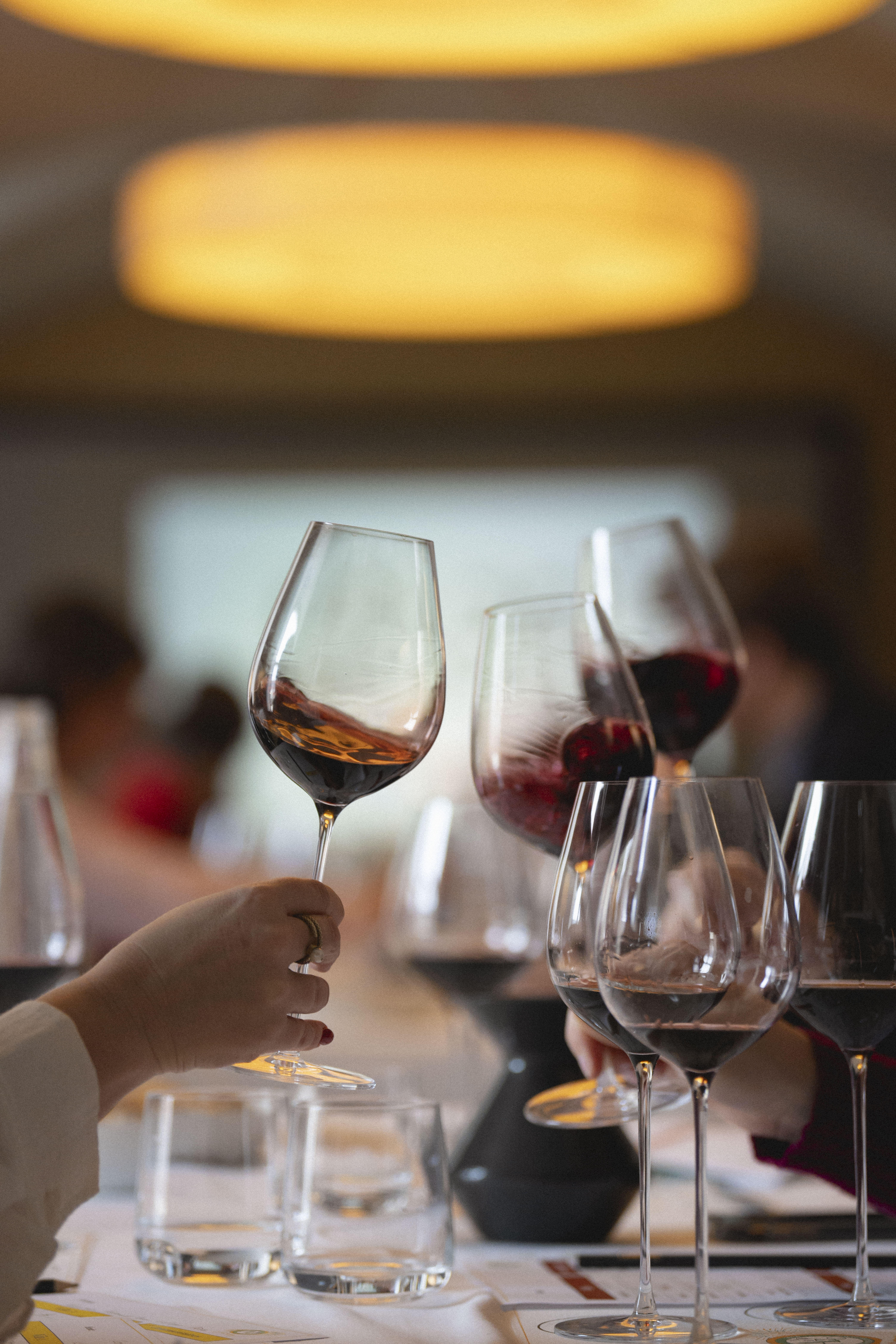 Photo édition 2024 33