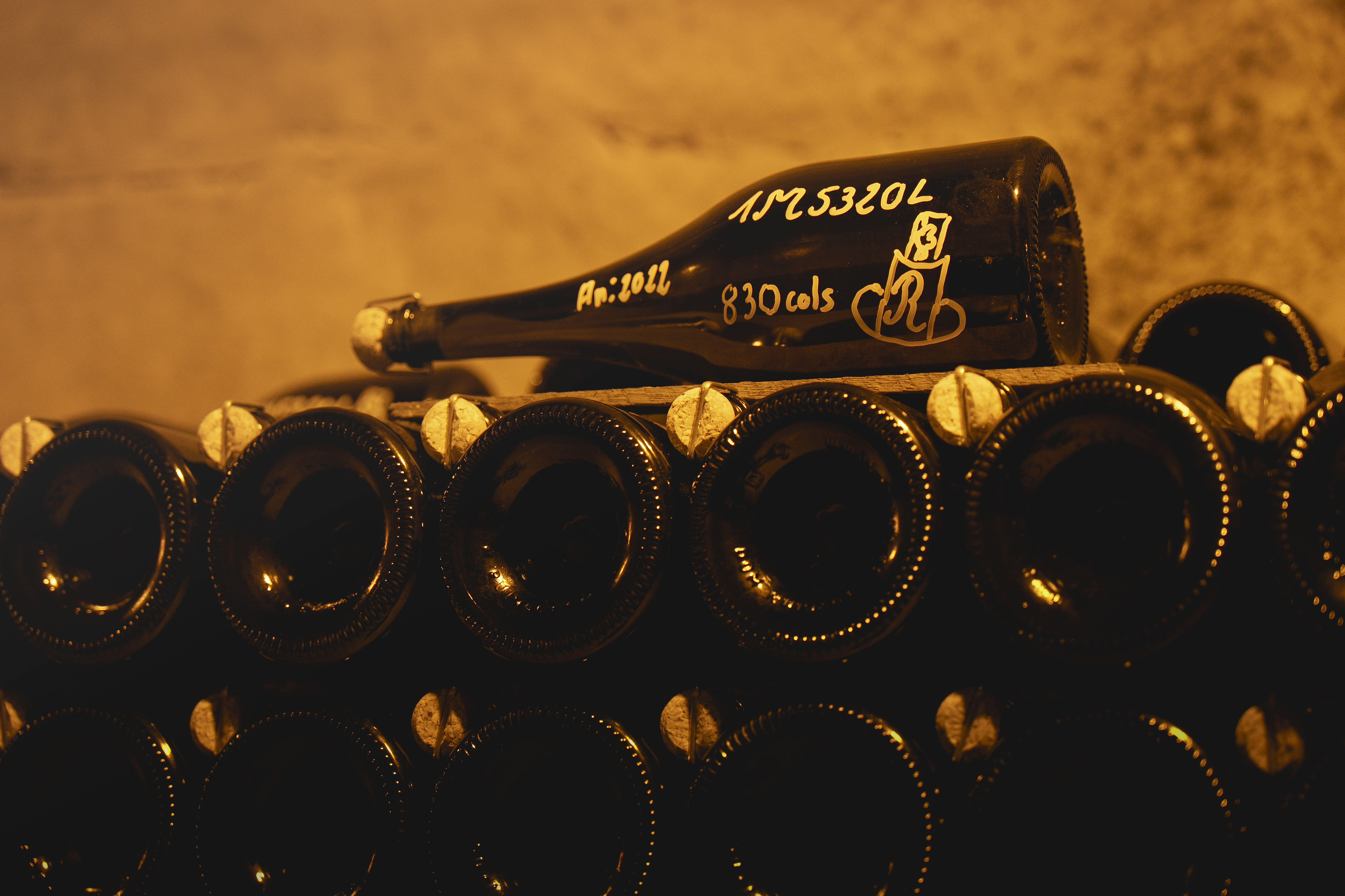 Photo édition 2024 97