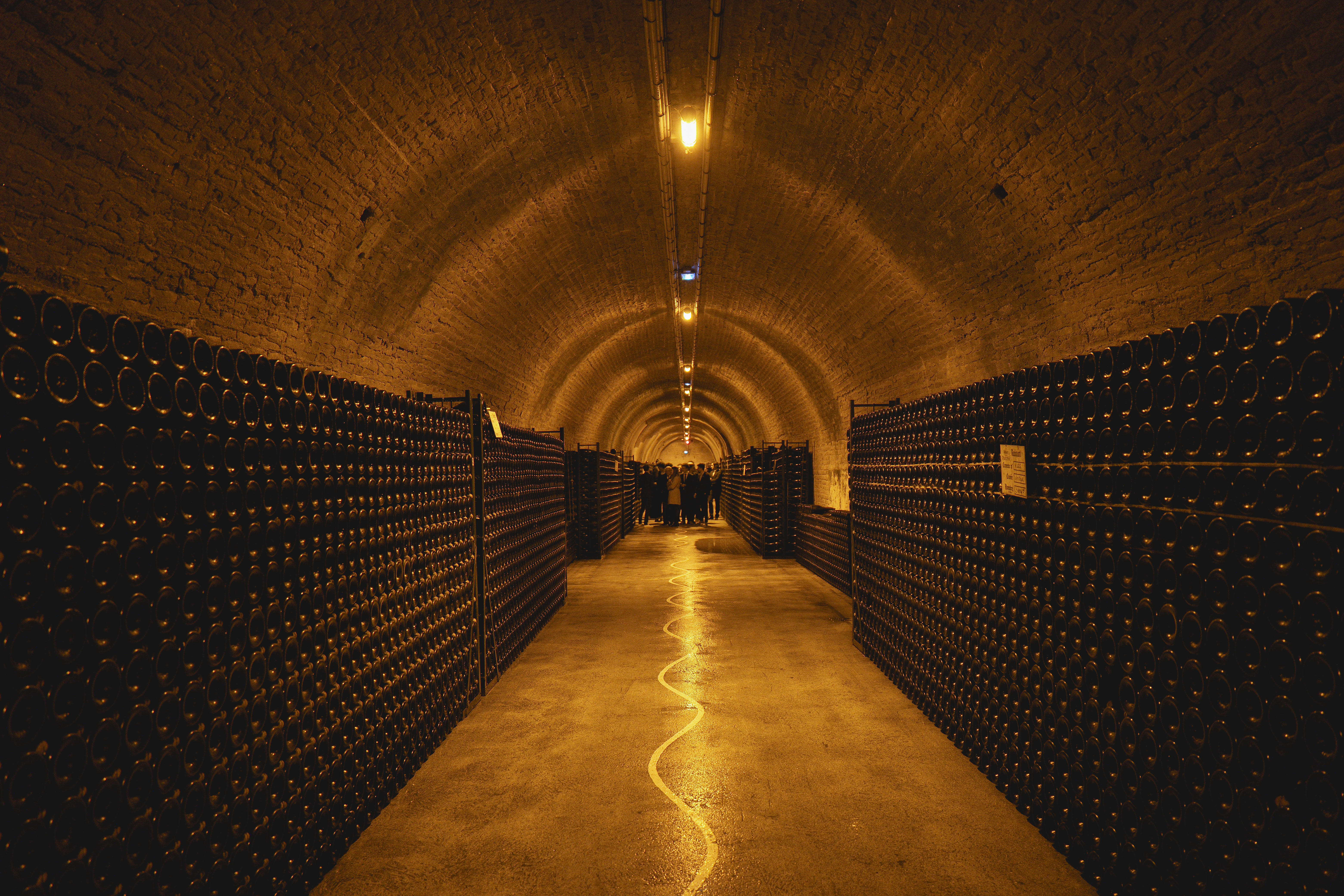 Photo édition 2024 100