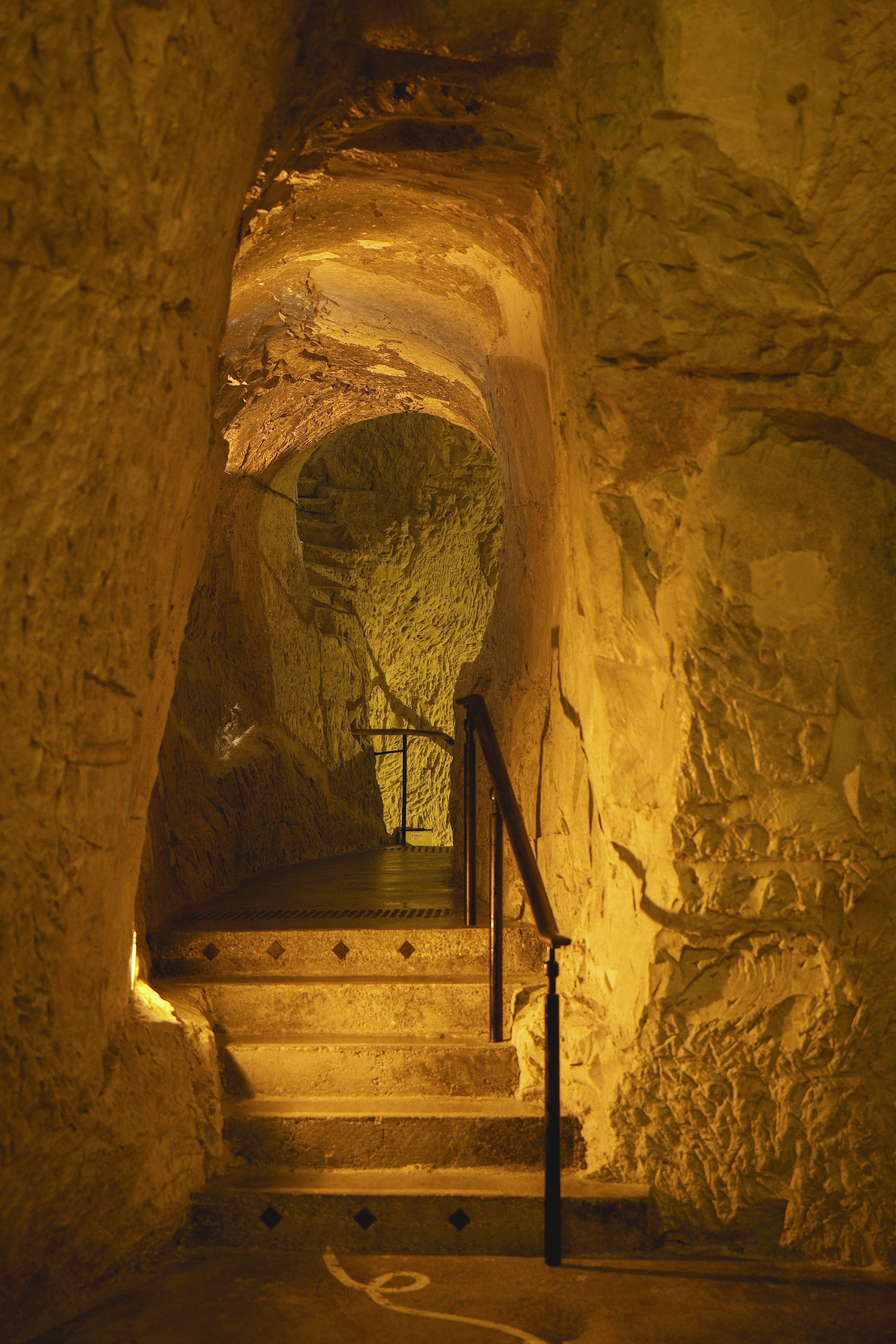 Photo édition 2024 101