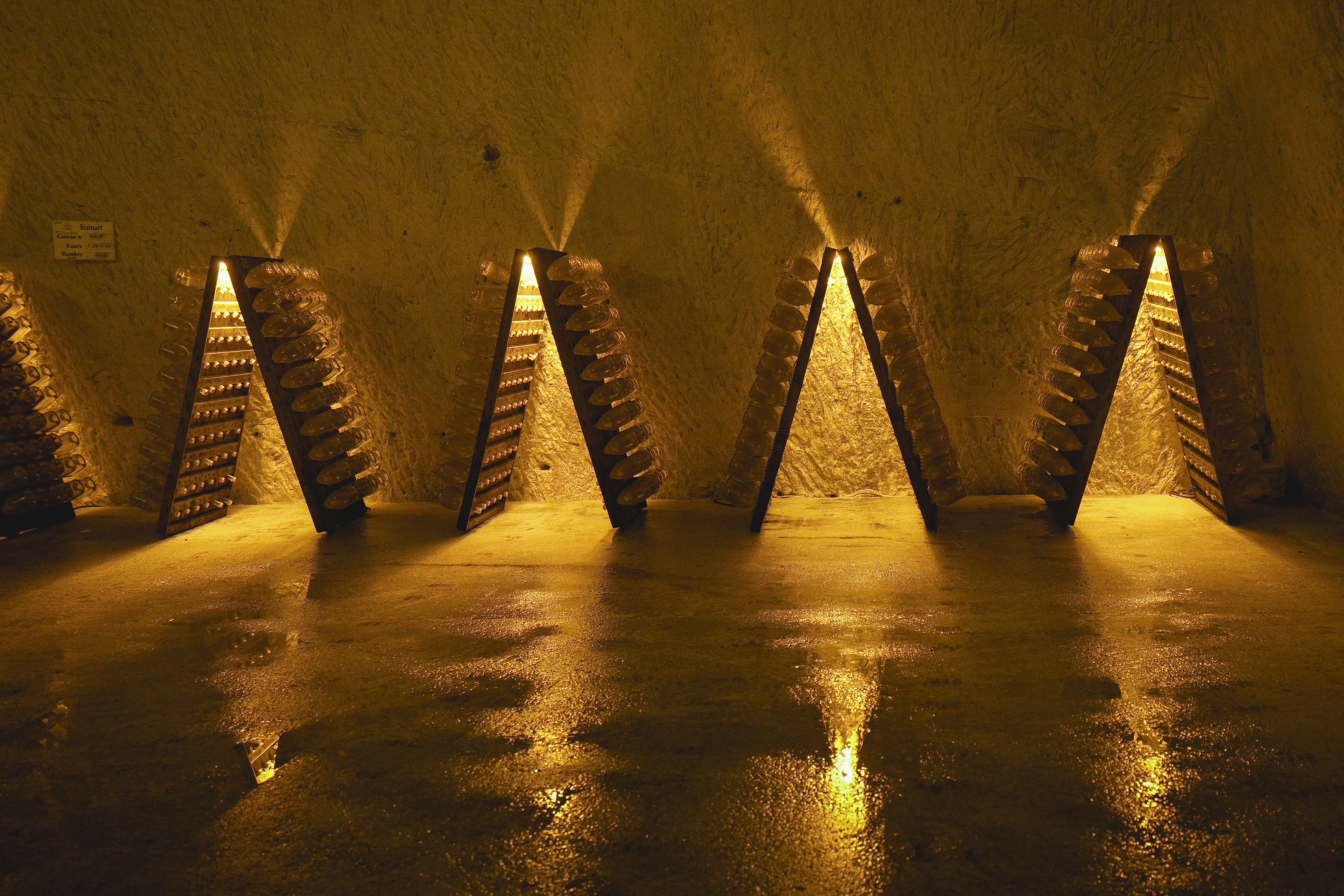 Photo édition 2024 106