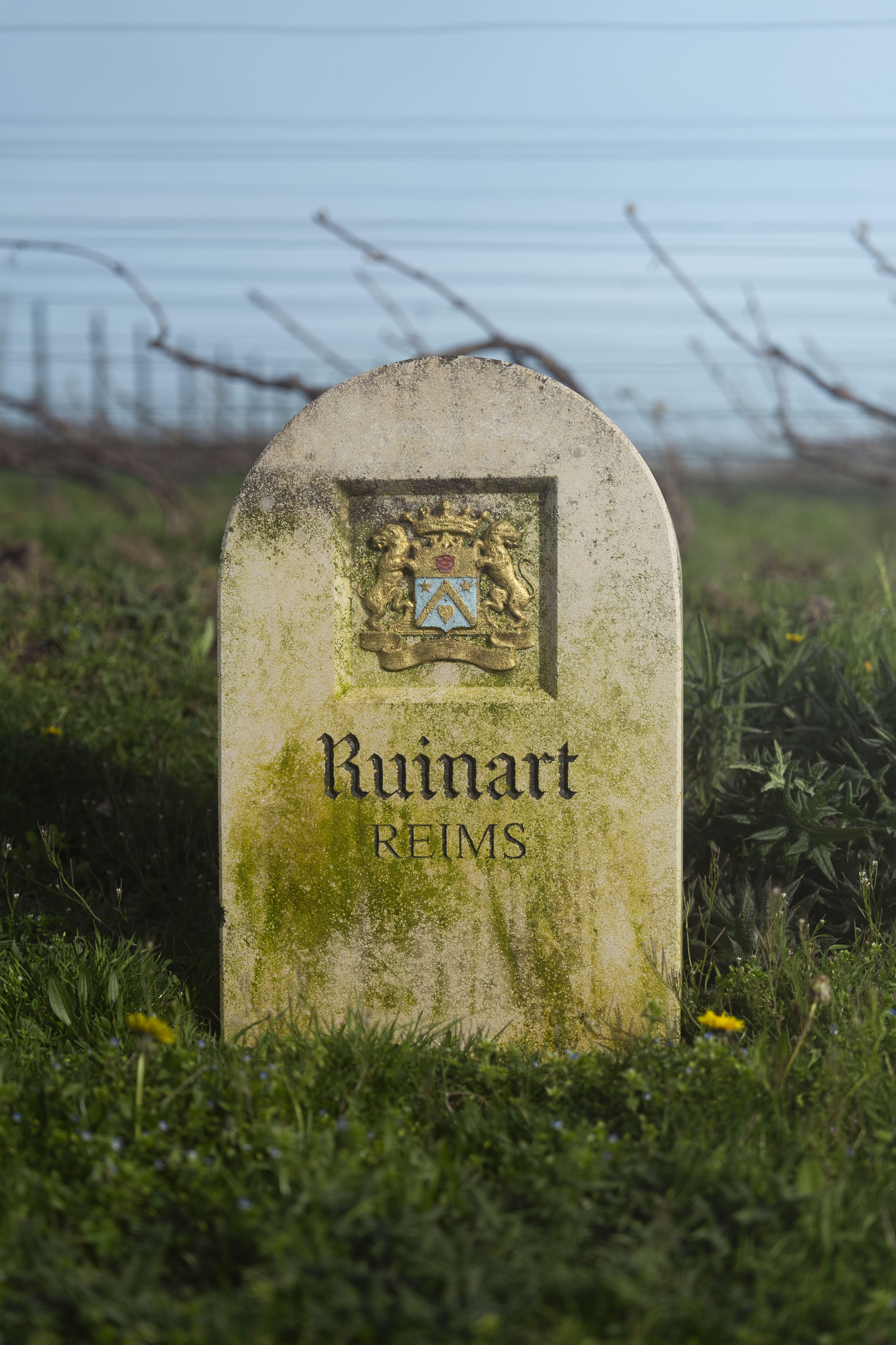 Photo édition 2024 115