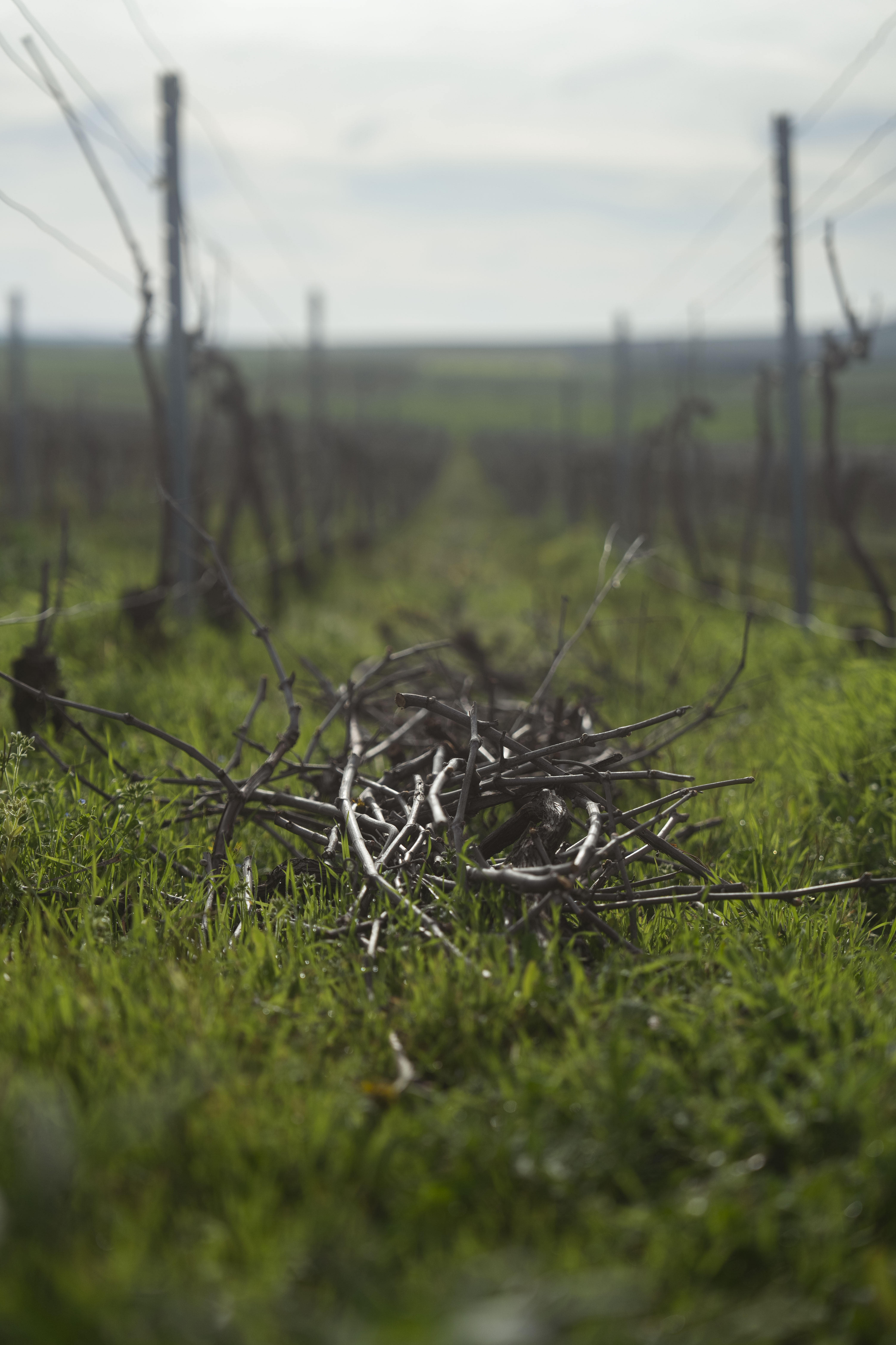 Photo édition 2024 116