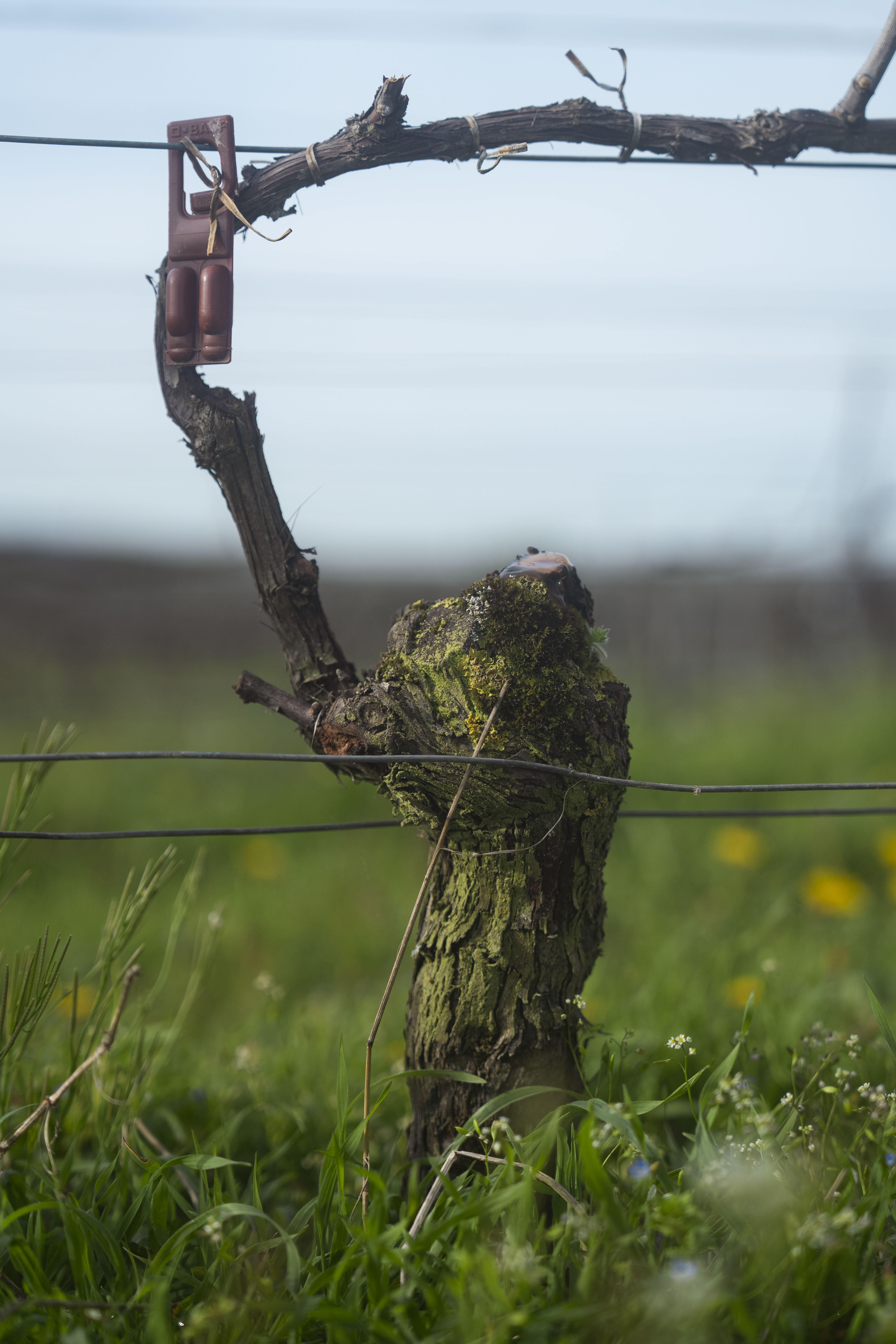 Photo édition 2024 117