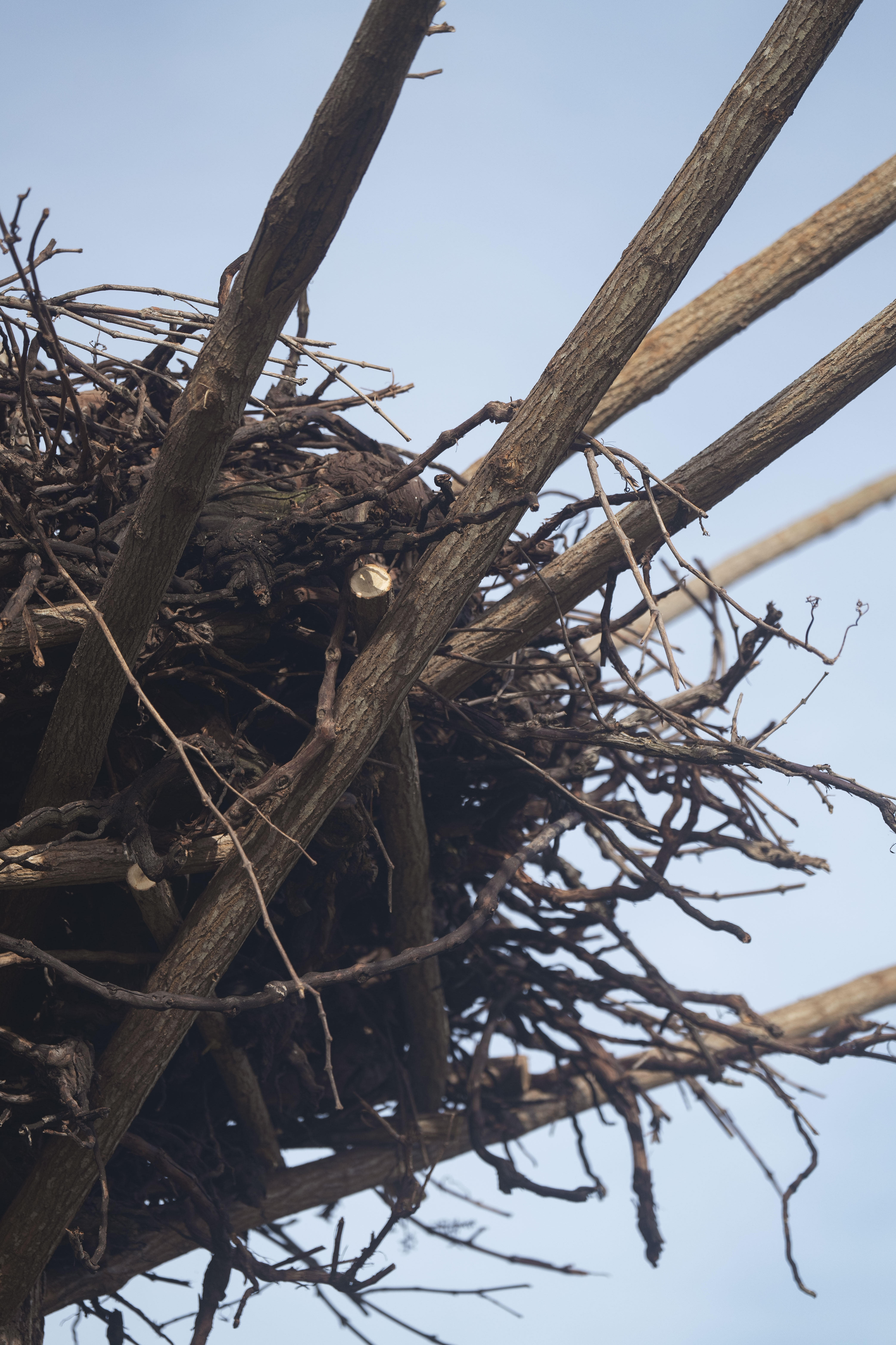 Photo édition 2024 119