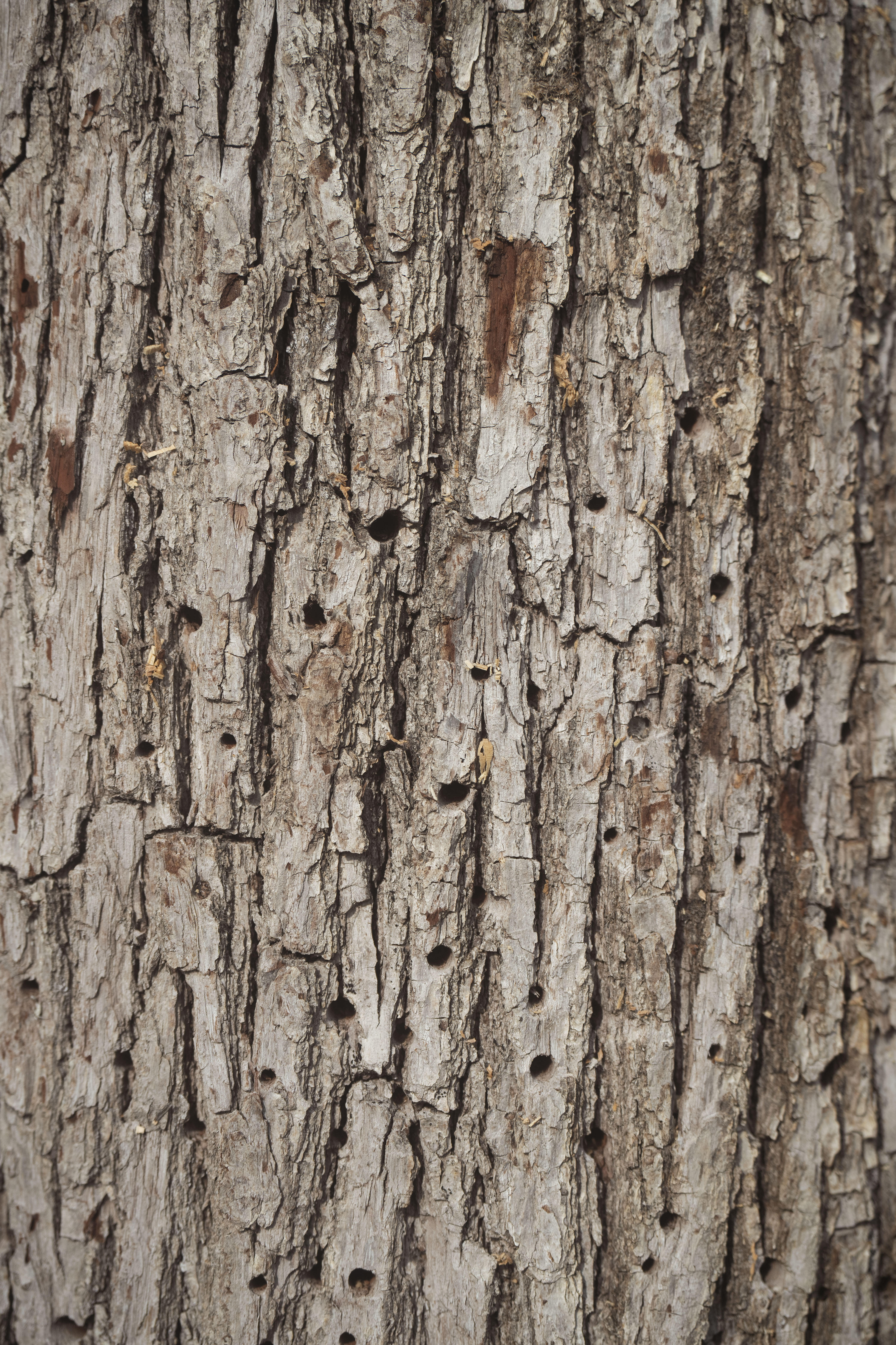 Photo édition 2024 120