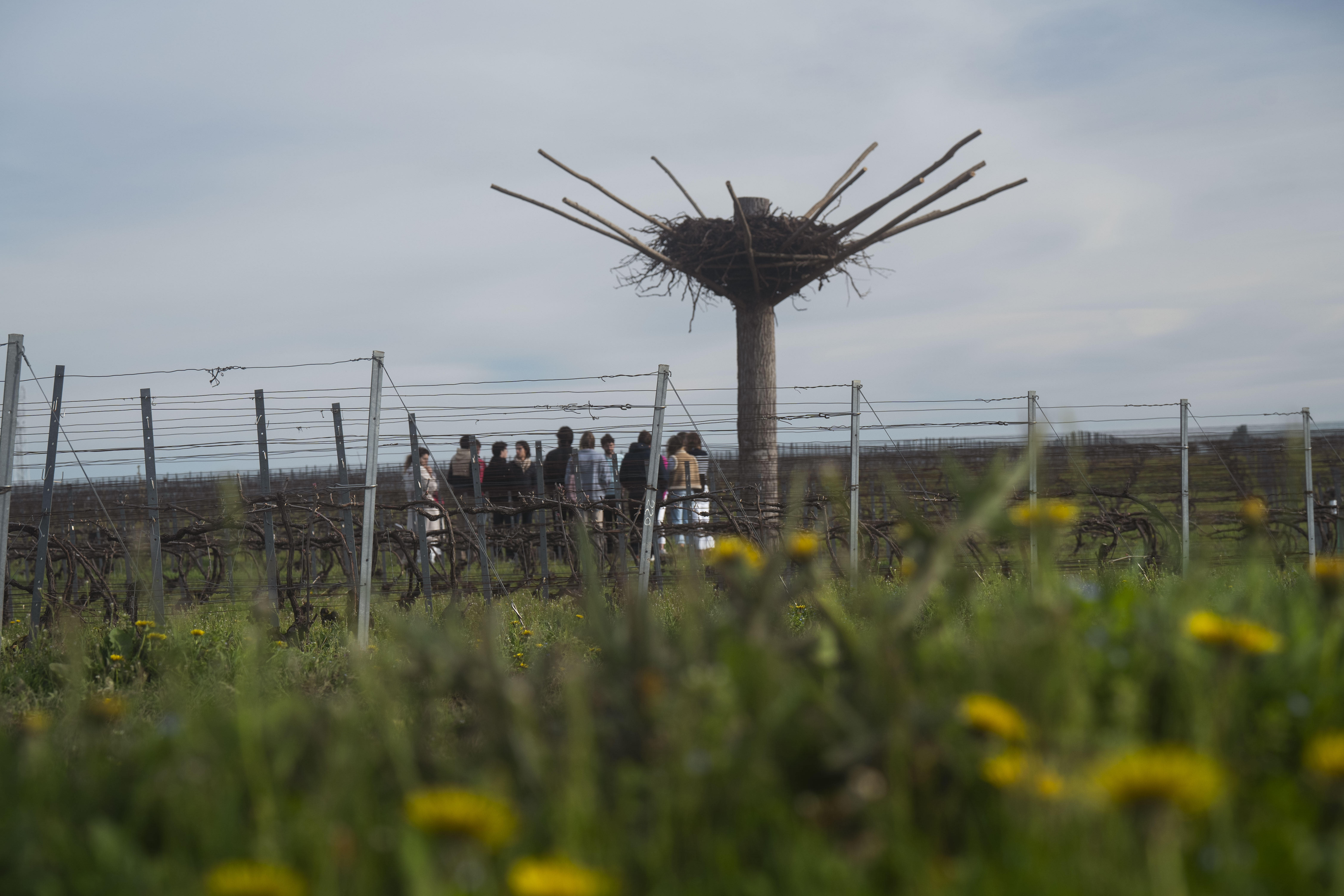 Photo édition 2024 122