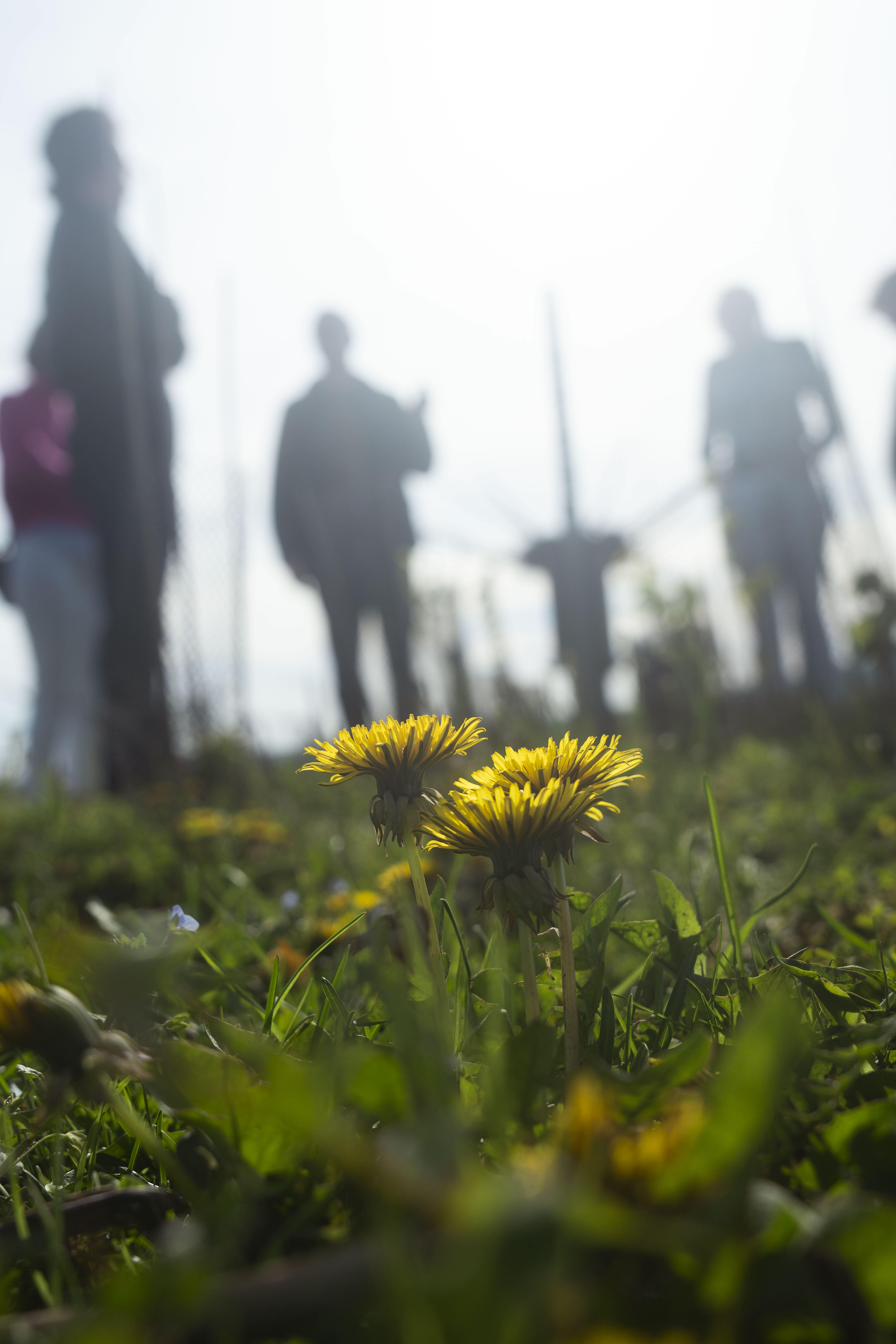 Photo édition 2024 125