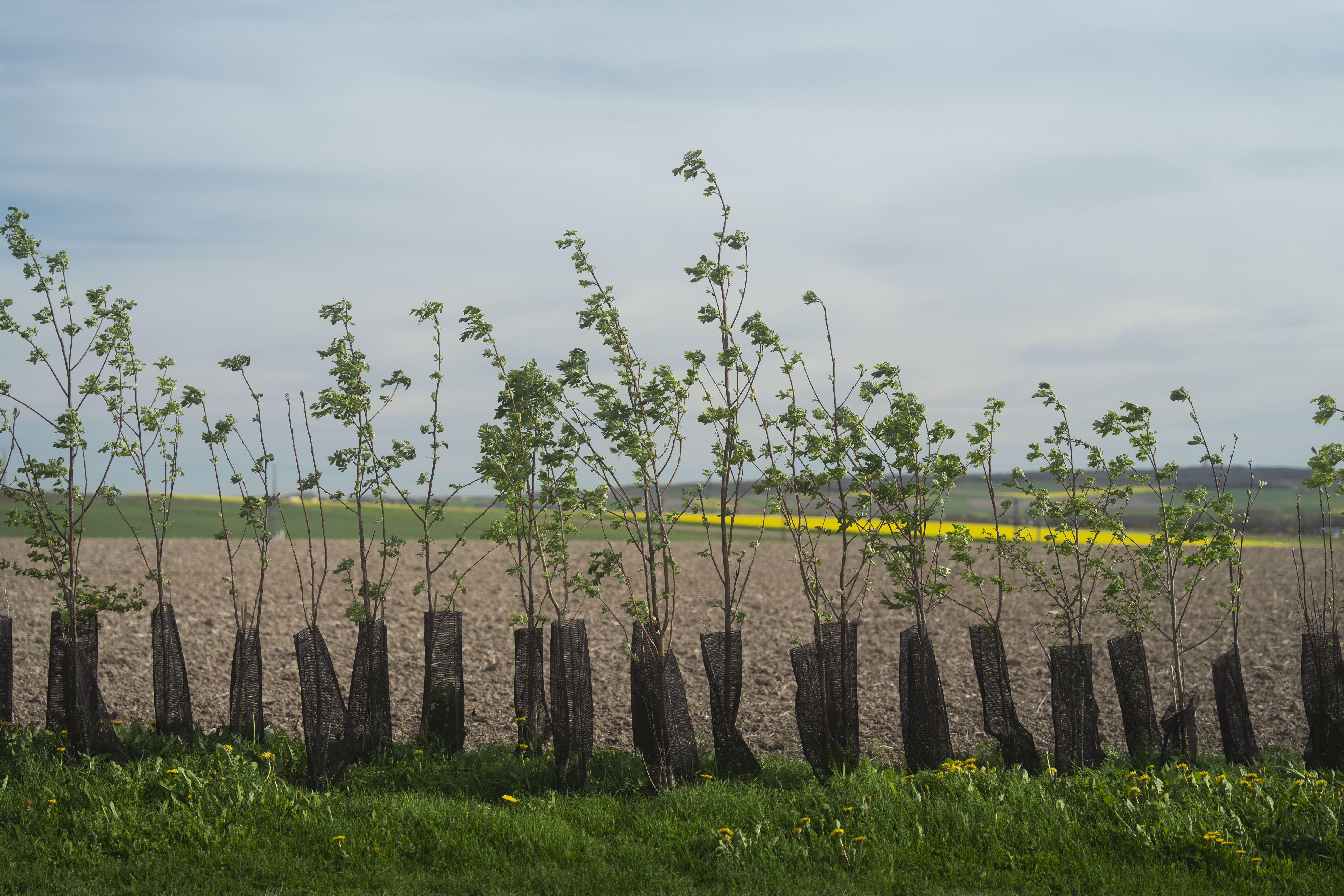 Photo édition 2024 126