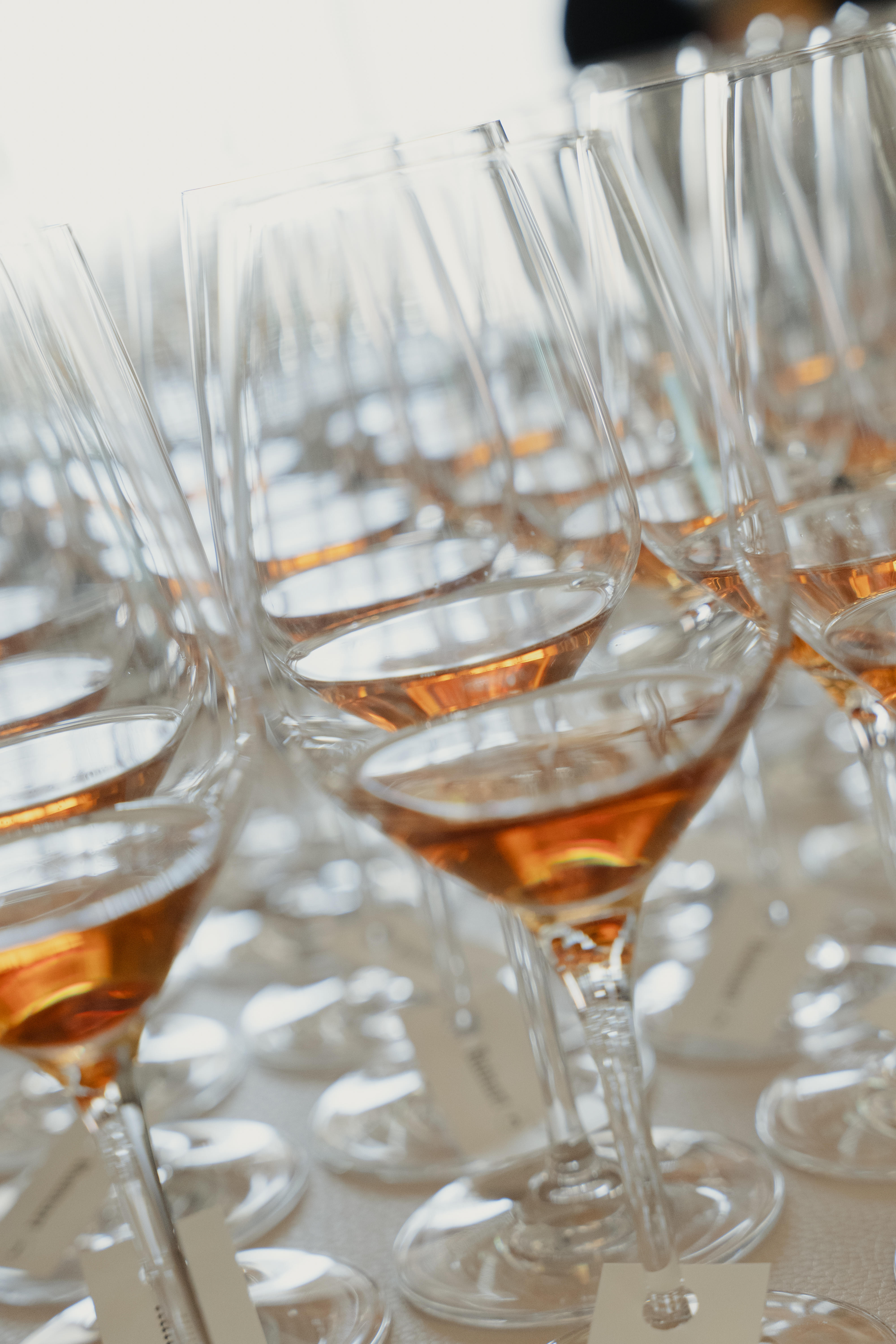 Photo édition 2025 62