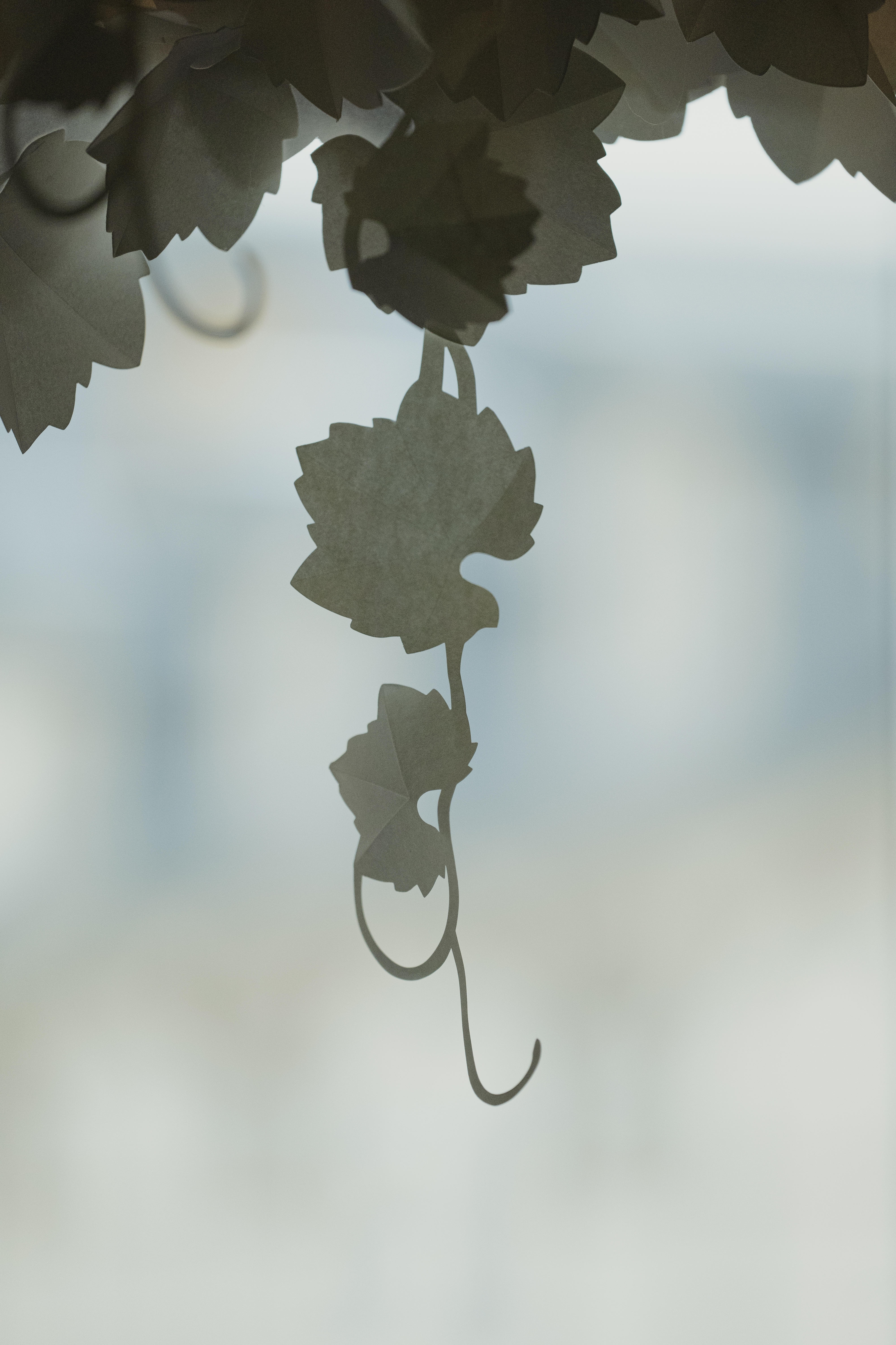 Photo édition 2025 78