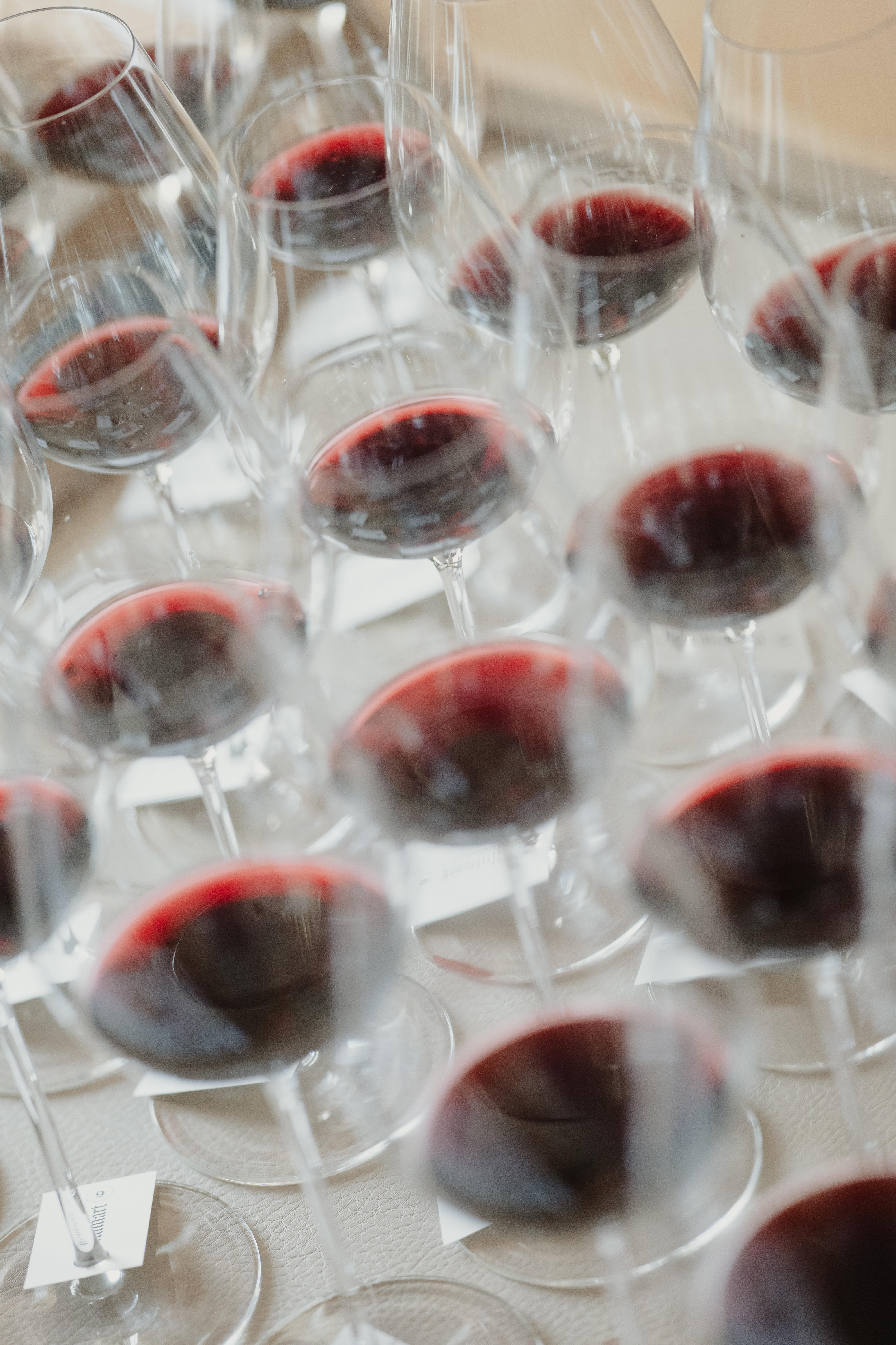 Photo édition 2025 80